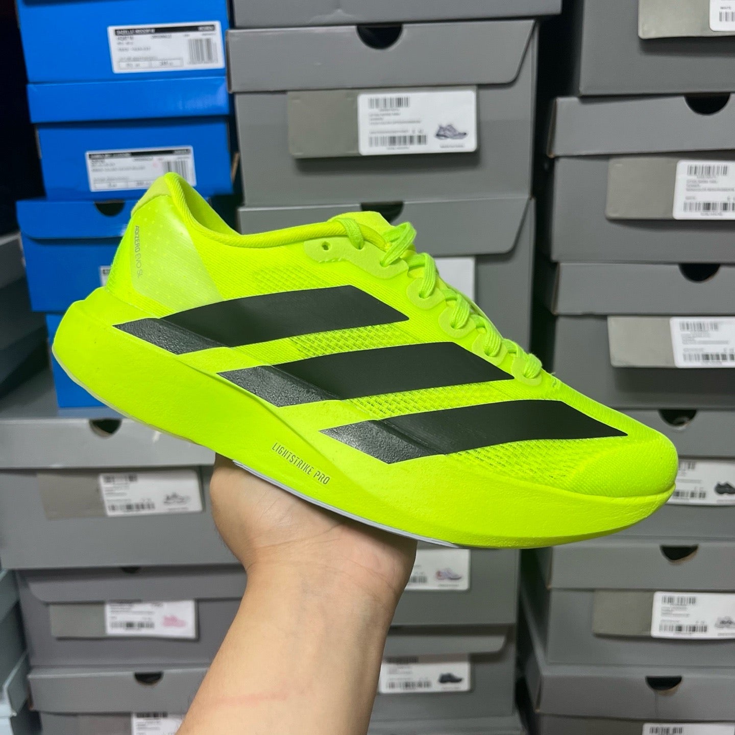 Adidas Adizero Evo SL