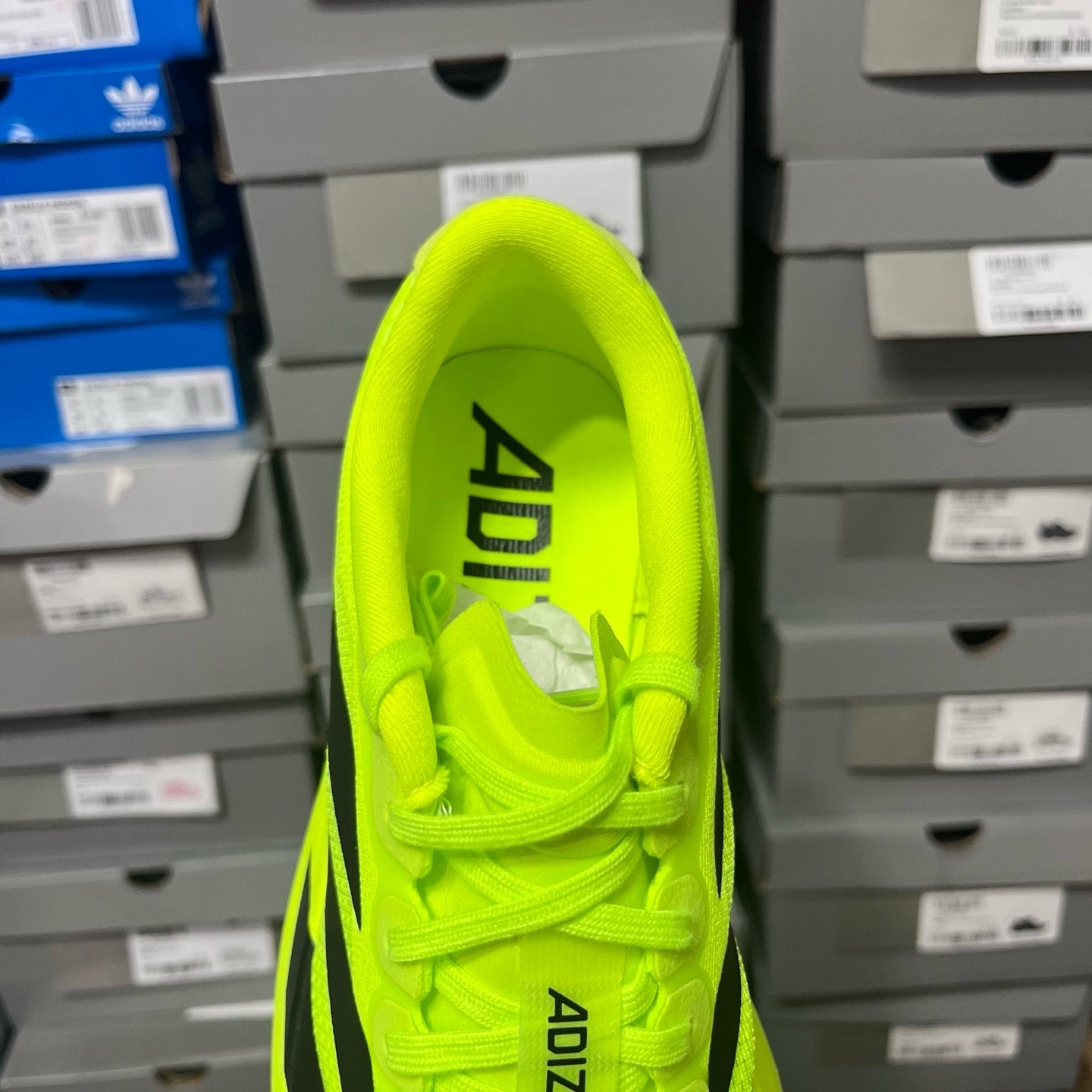 Adidas Adizero Evo SL