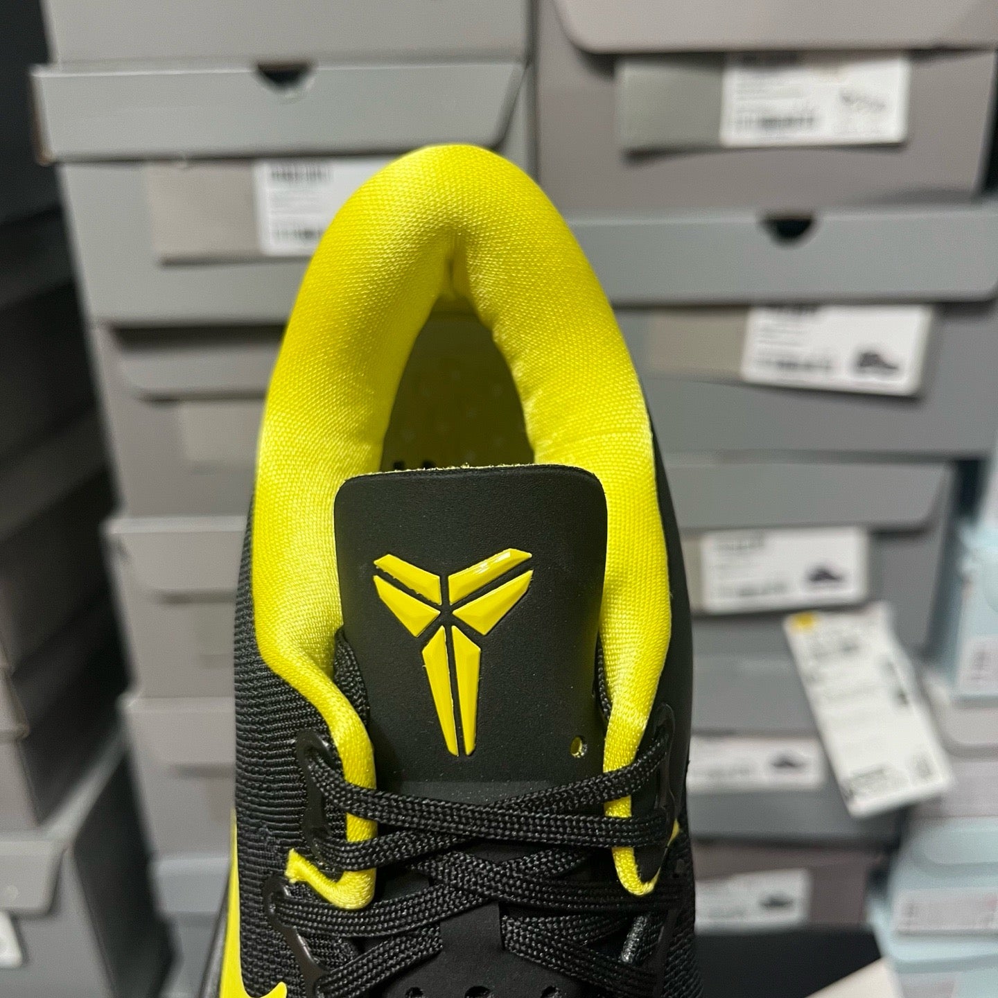 Nike Zoom Kobe 8 x Oregon Duck PE